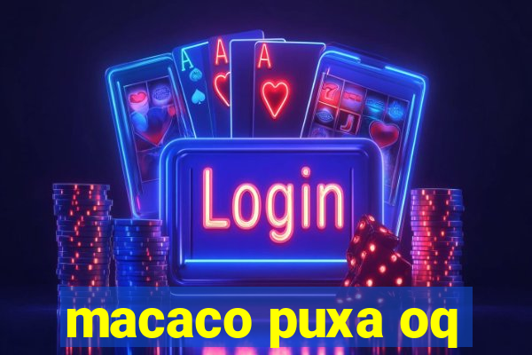 macaco puxa oq